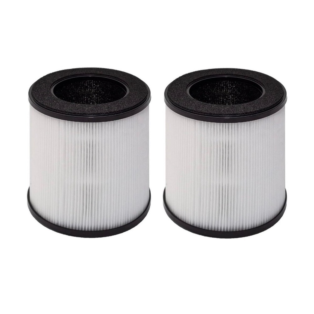 B-D02L True HEPA Carbon Filter Set 2 Pack Replacement Air Purifier Filters